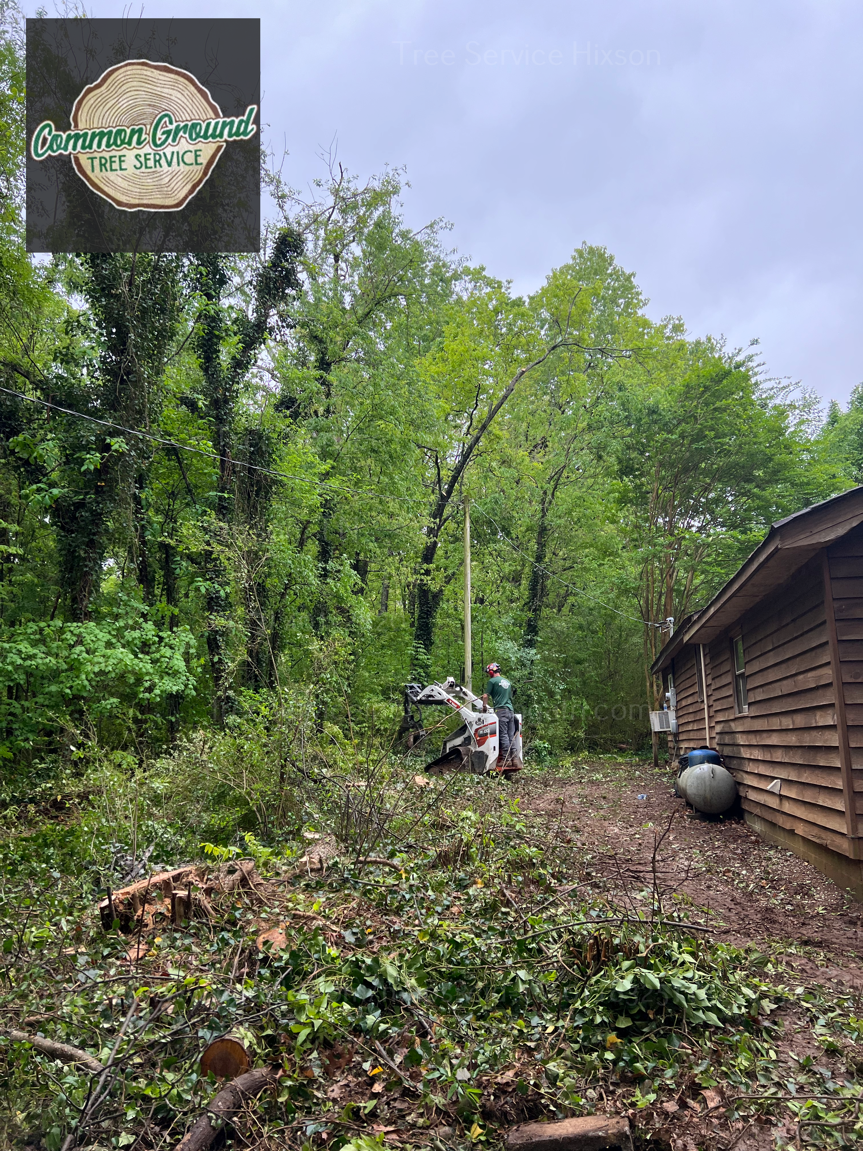 Tree Service Hixson