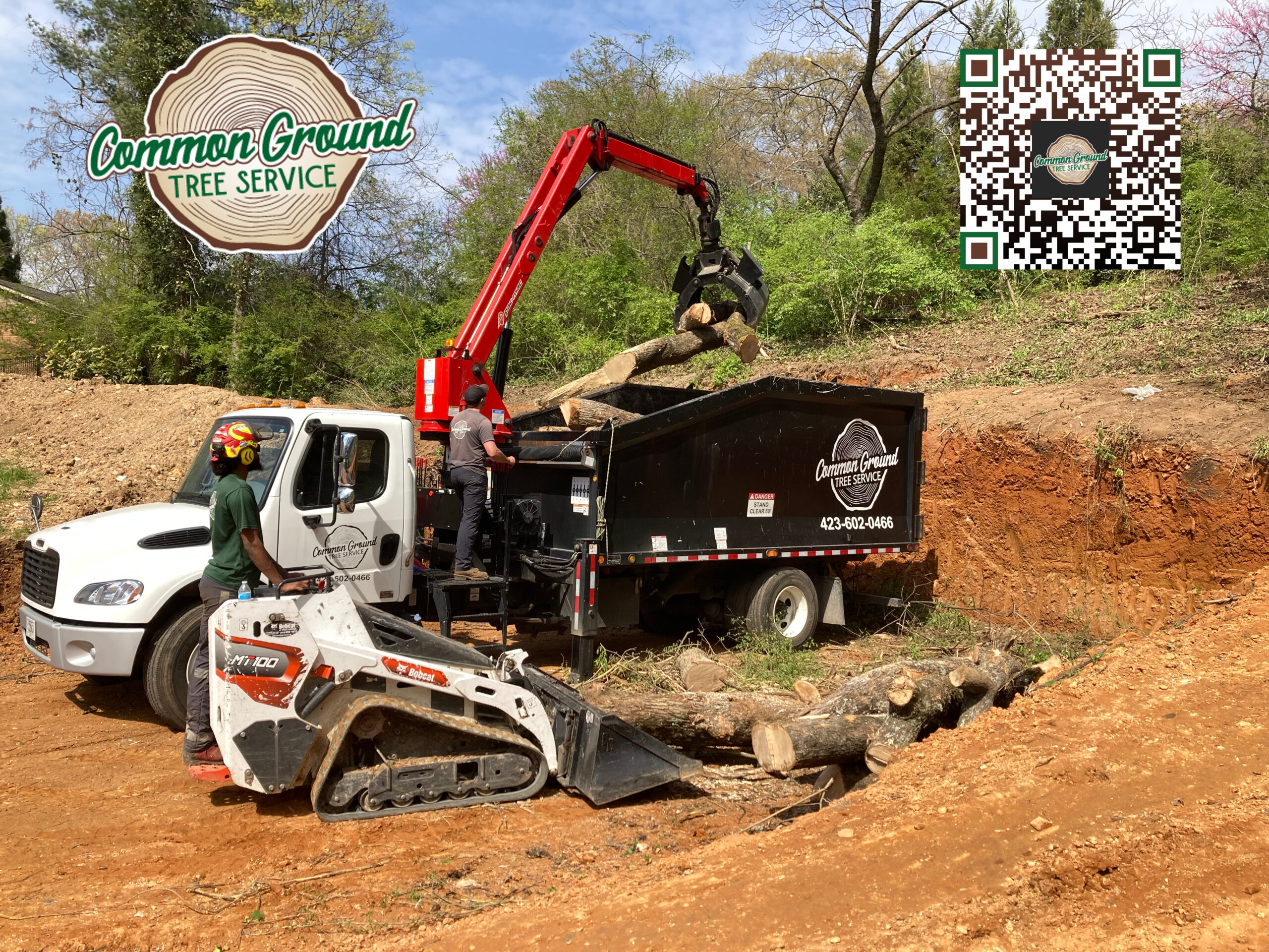 Chattanooga Tree Service Chattanooga Tree Service