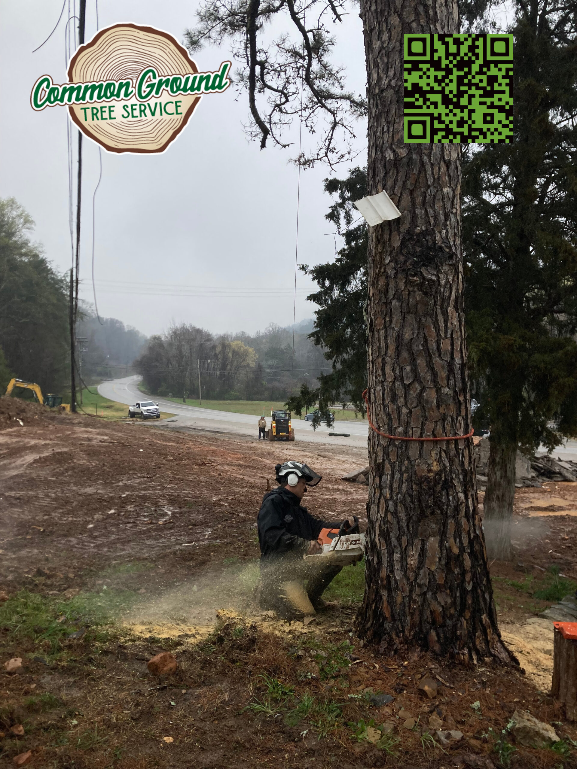 Chattanooga Tree Removal Tree Removal Chattanooga
