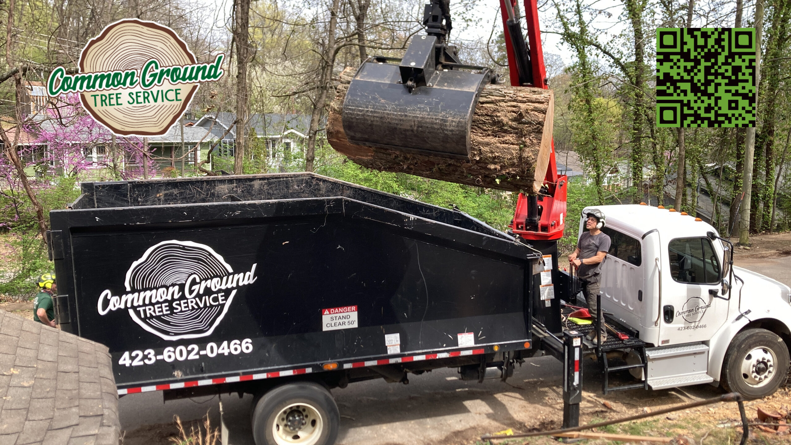 Tree Maintenance Chattanooga Chattanooga Tree Service