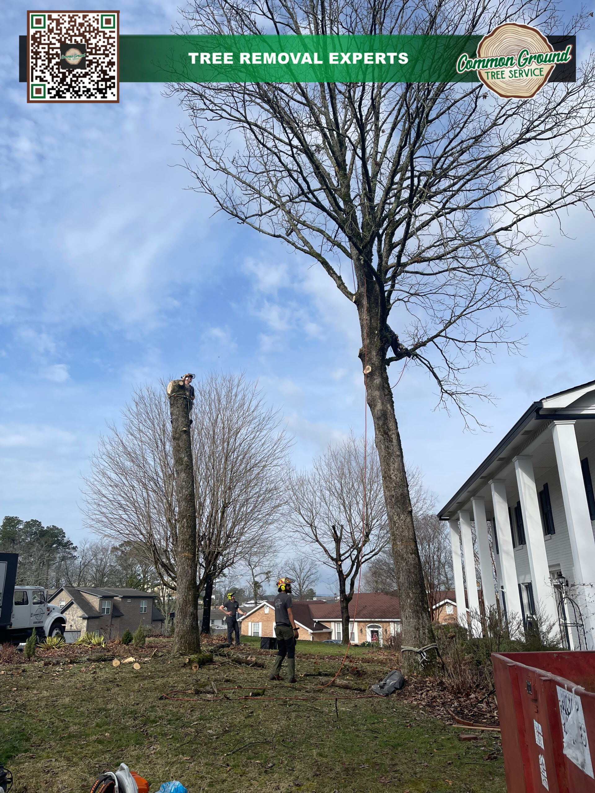 Tree Service Chattanooga Tree Service Chattanooga