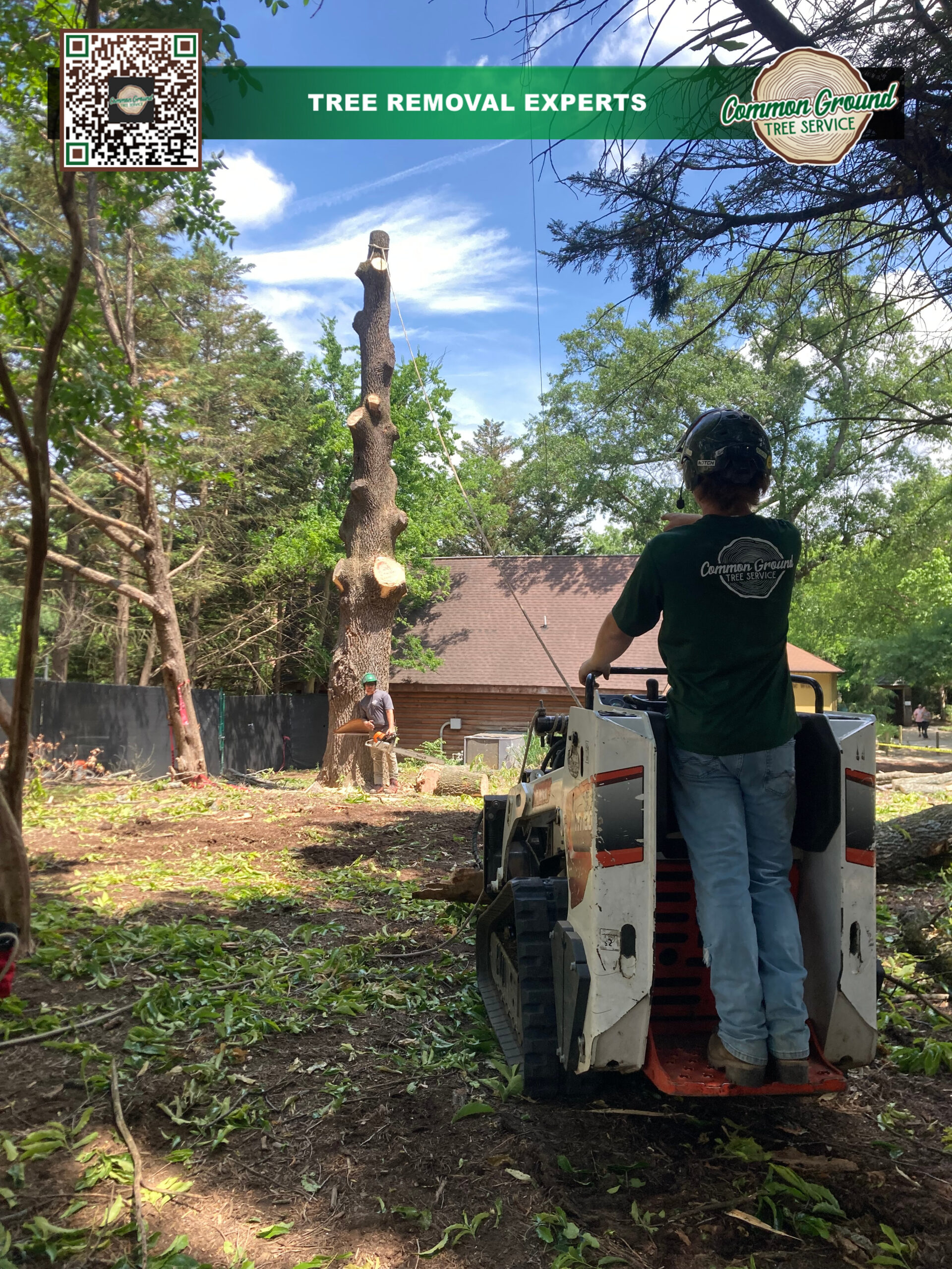 Tree Maintenance Chattanooga 1