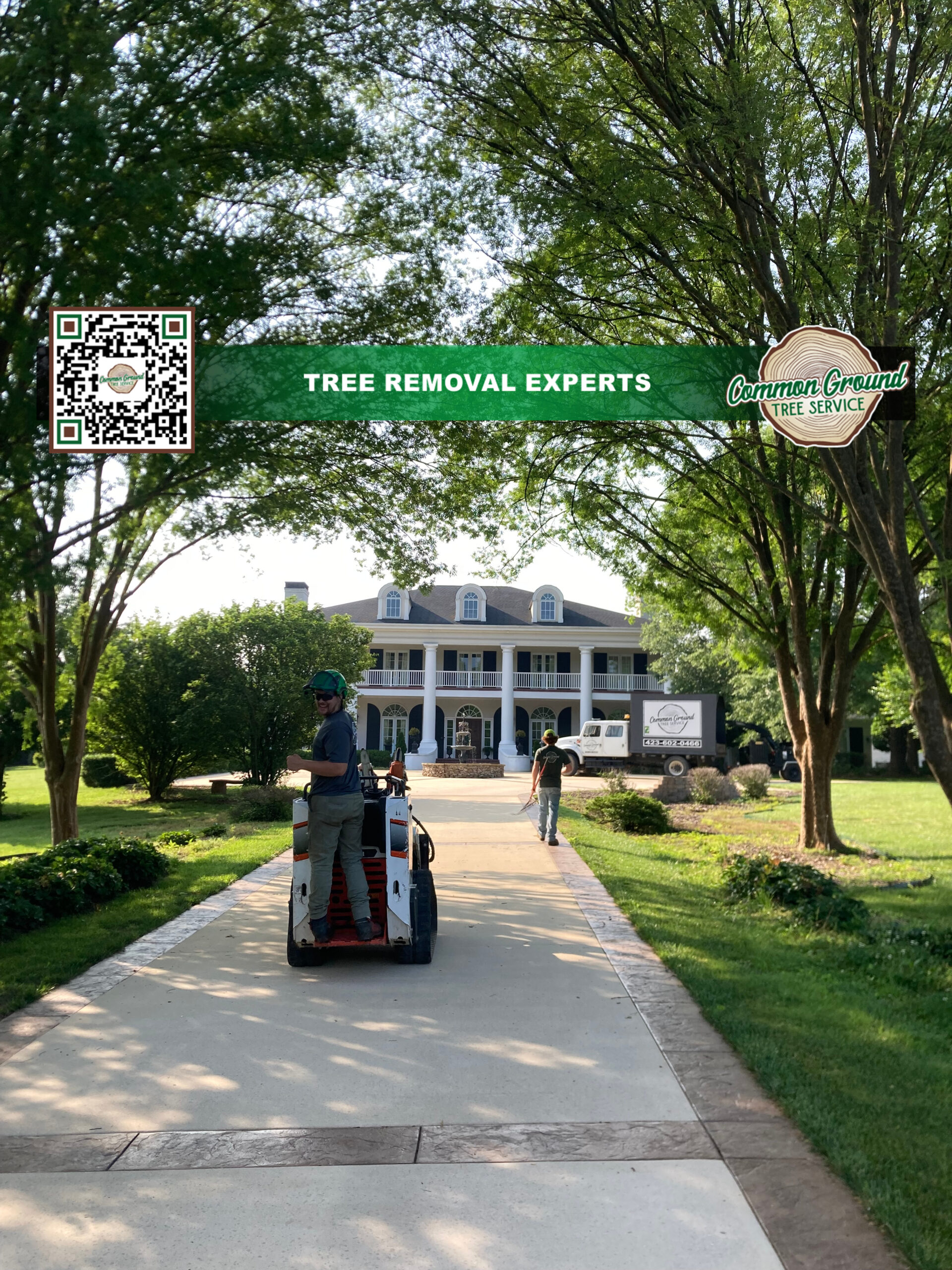 Tree Maintenance Chattanooga Tree Maintenance Chattanooga