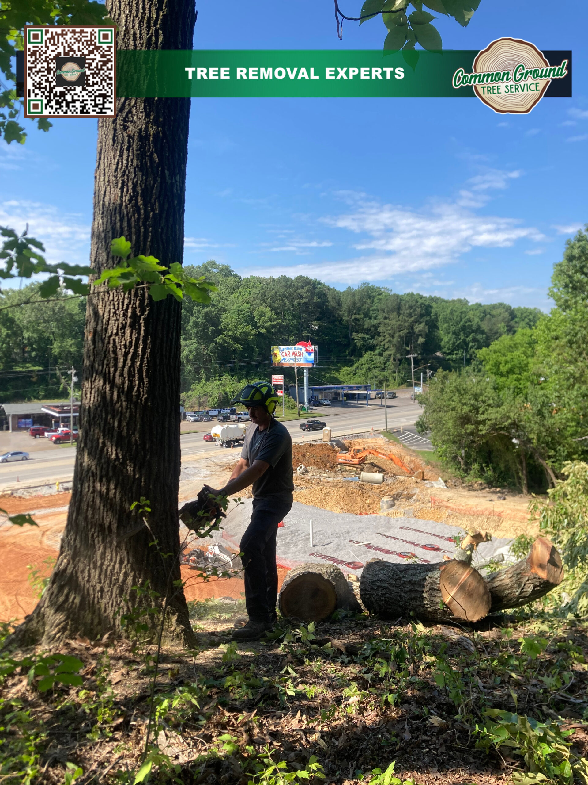 Tree Removal Chattanooga Tree Removal Chattanooga