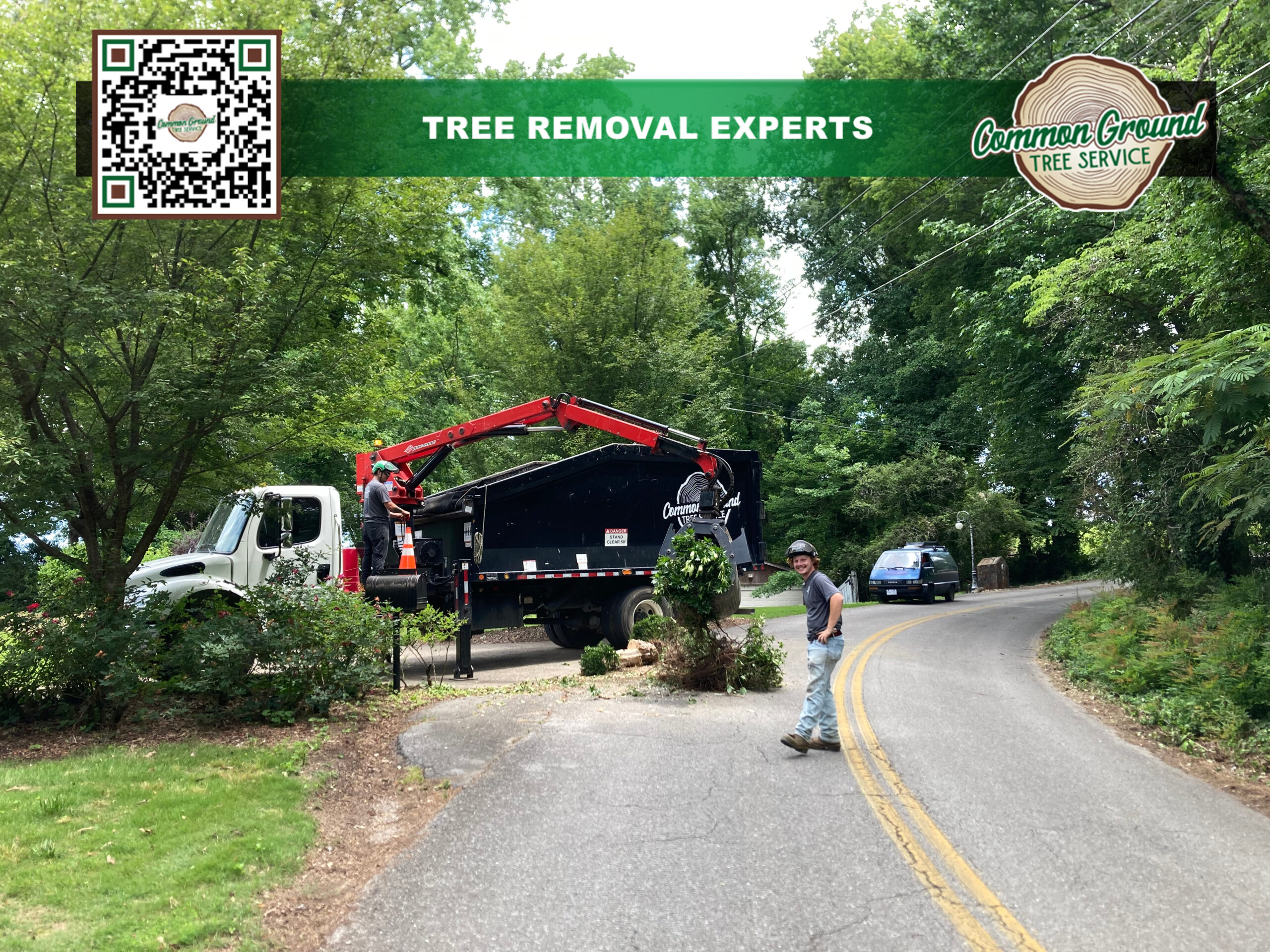 Tree Trimming Chattanooga 1